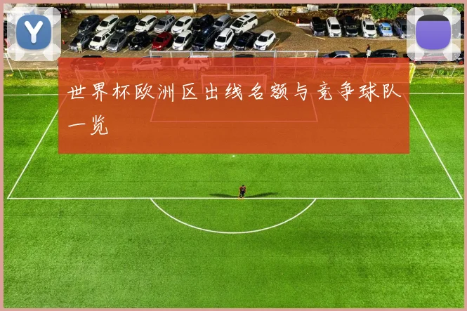 世界杯欧洲区出线名额与竞争球队一览